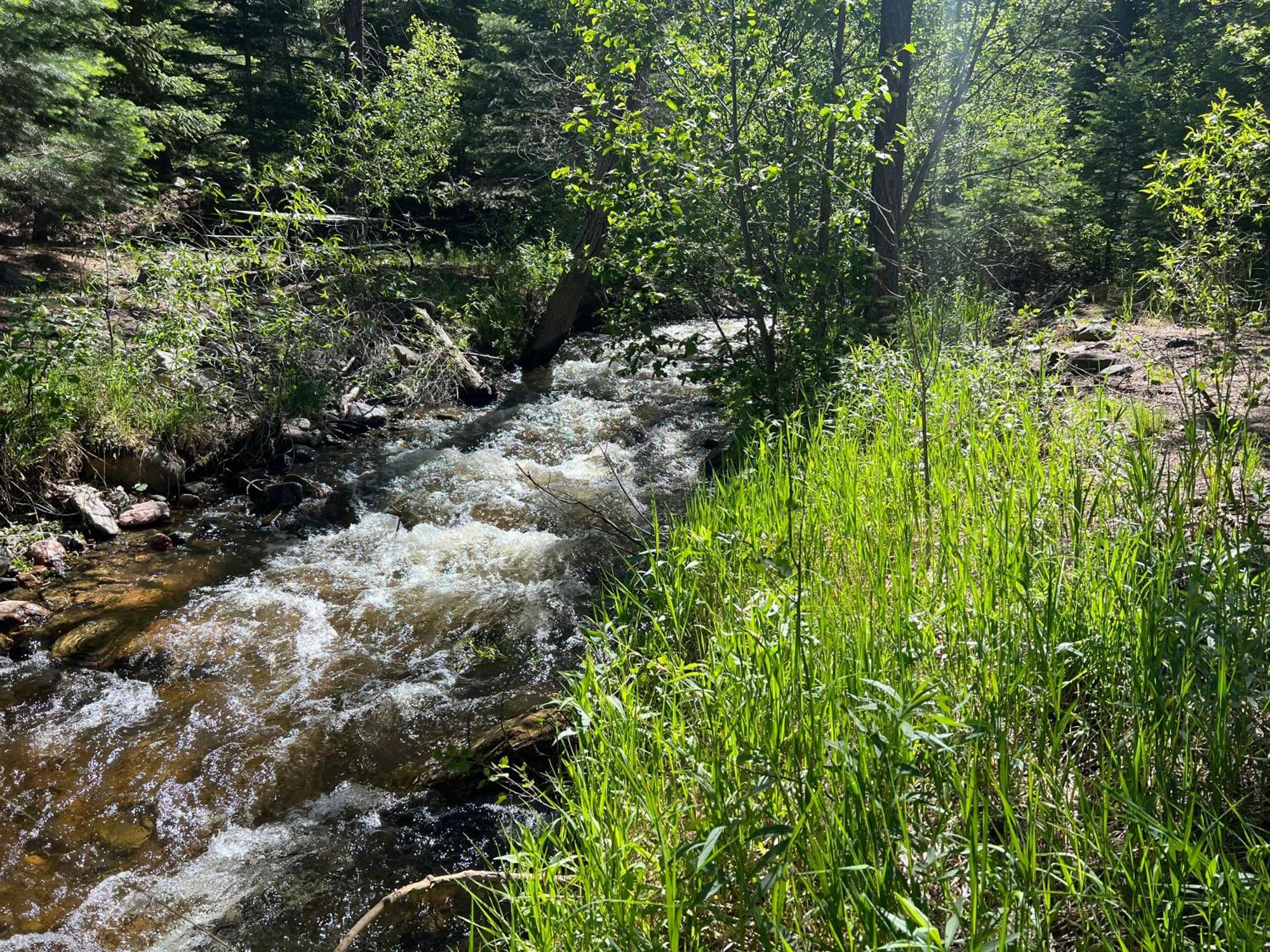 Cozy Cabin On The Creek Colorado City Esterno foto