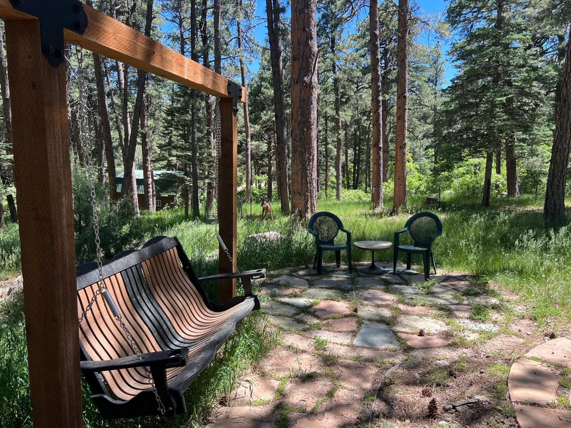 Cozy Cabin On The Creek Colorado City Esterno foto