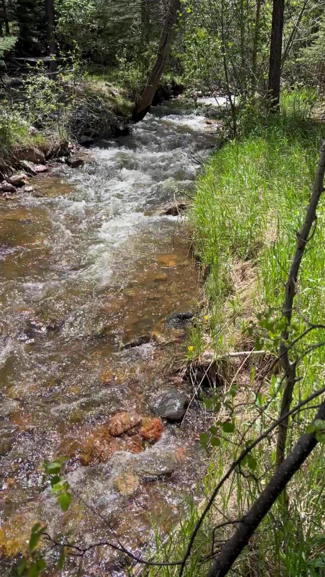 Cozy Cabin On The Creek Colorado City Esterno foto