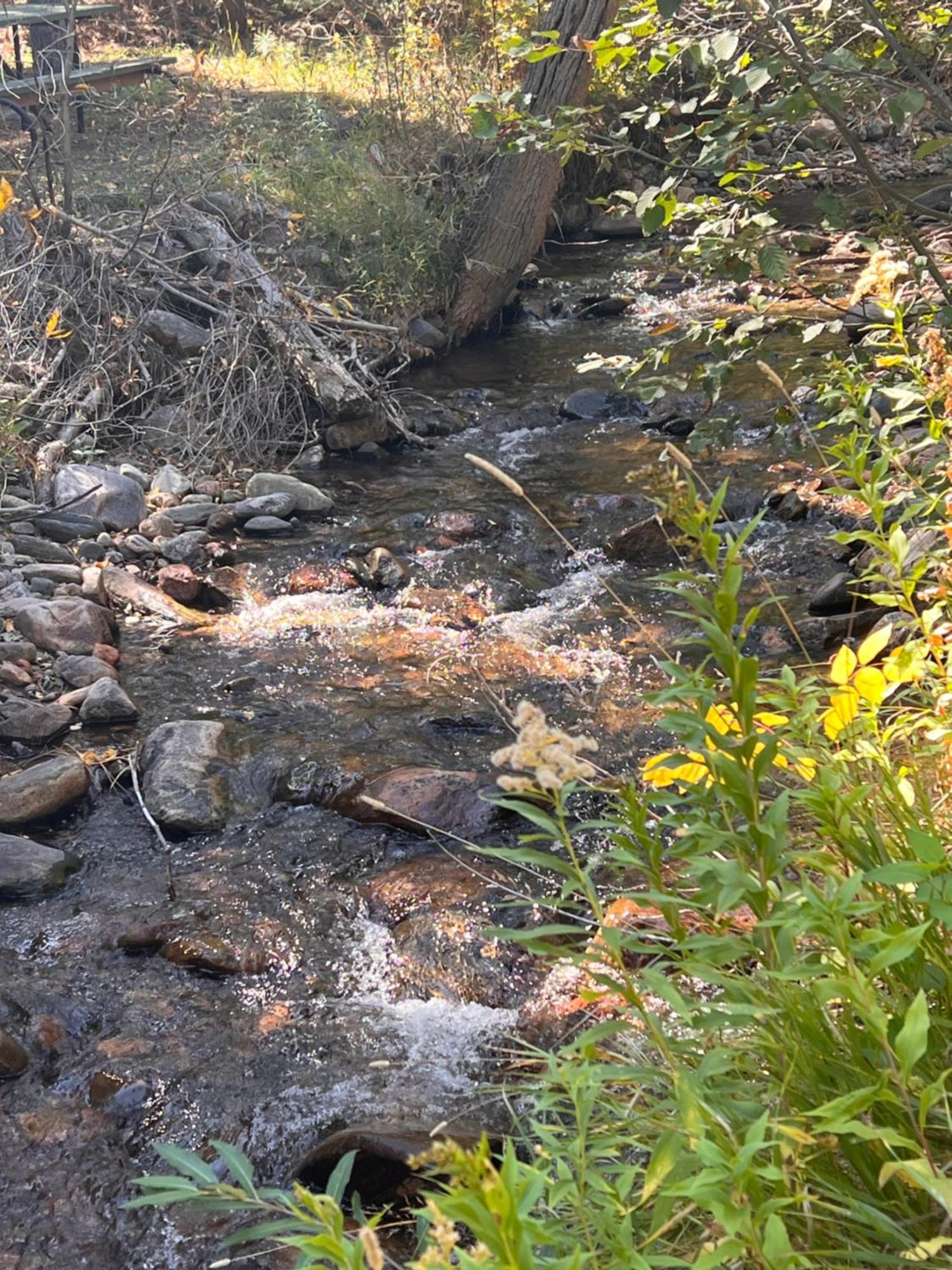 Cozy Cabin On The Creek Colorado City Esterno foto